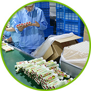 军兴溢美玩具包装纸罐定制工艺流程-检验装箱